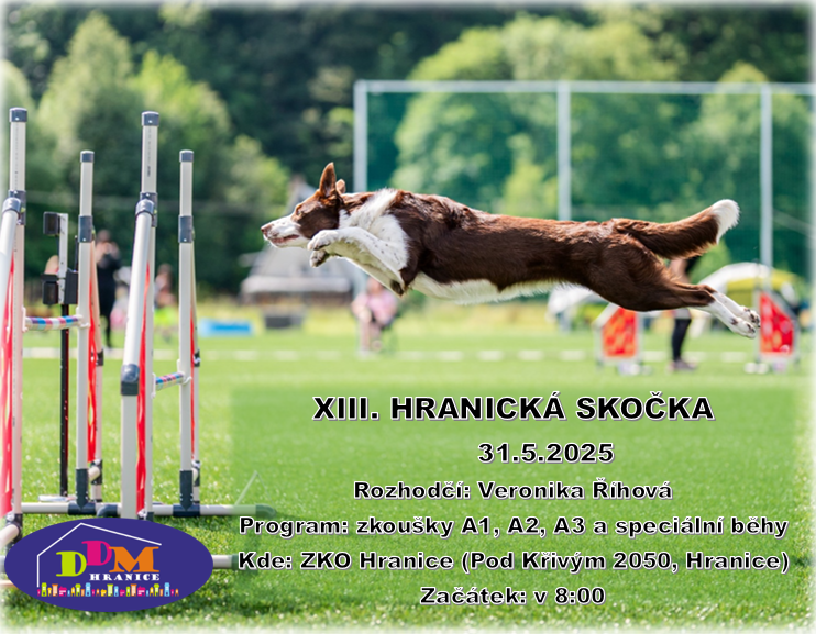 Agility závody