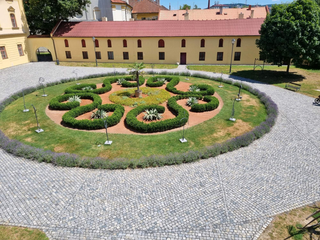 1717483063.jpg