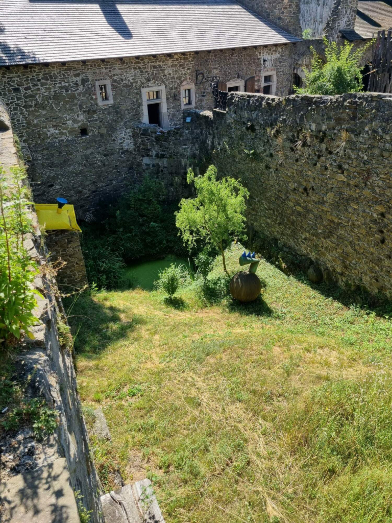 1717483172.jpg