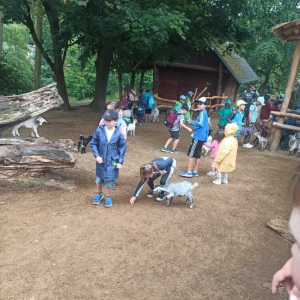 IMG_20230713_103222.jpg