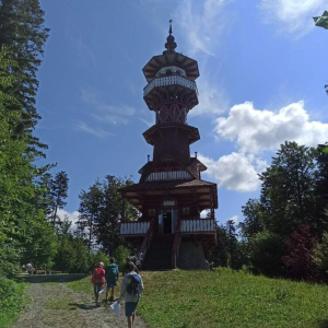 IMG_20230727_104104.jpg