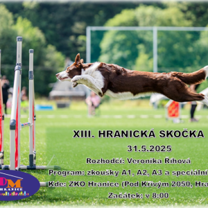 Agility závody 