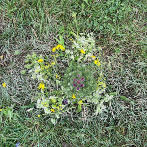 IMG-20250730-WA0018.jpg