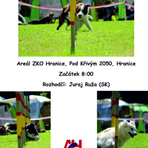 XIV. Hranická skočka